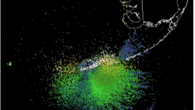 migratory birds appear on radar over Key West FL