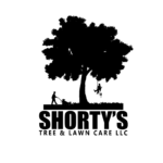 Shorty’s Tree and Lawn Care
