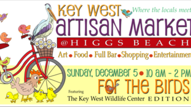 Key West Artisan Market - Nov 21, 2021 - For the Birds