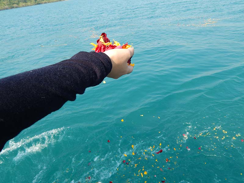 Sea Scattering How To Honor Your Loved One By Releasing Ashes At Sea 